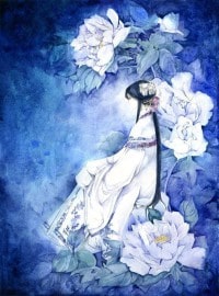 校园全能高手